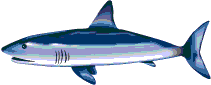 rerquin