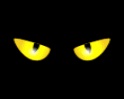 Logo Nuits du loup